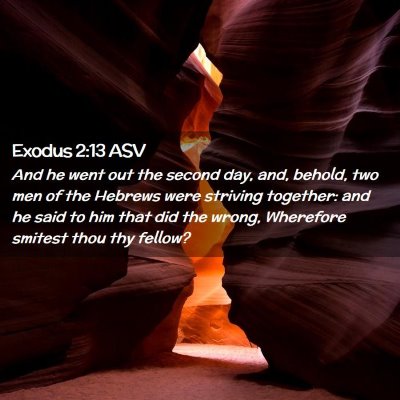 Picture 02 - Exodus 2:13 ASV - And he went out the second day, and, behold, two - Bible Verse Picture