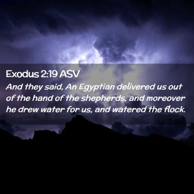 Picture 02 - Exodus 2:19 ASV - And they said, An Egyptian delivered us out of - Bible Verse Picture