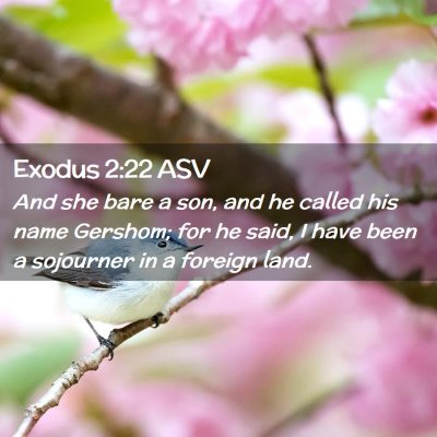 Picture 02 - Exodus 2:22 ASV - And she bare a son, and he called his name - Bible Verse Picture
