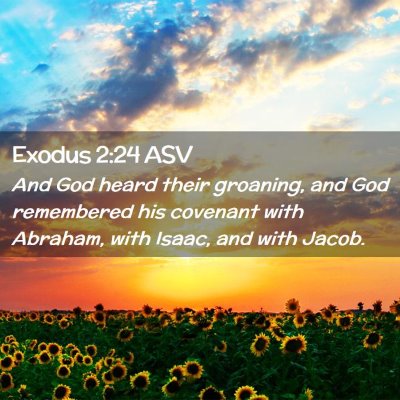 Picture 02 - Exodus 2:24 ASV - And God heard their groaning, and God remembered - Bible Verse Picture