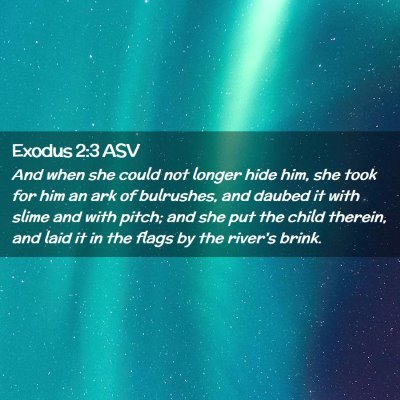 Picture 02 - Exodus 2:3 ASV - And when she could not longer hide him, she took - Bible Verse Picture