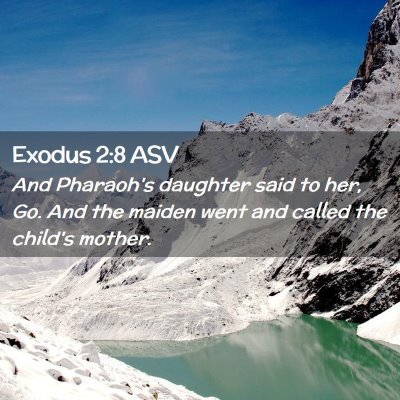 Picture 02 - Exodus 2:8 ASV - And Pharaoh's daughter said to her, Go. And the - Bible Verse Picture