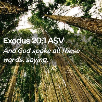 Picture 02 - Exodus 20:1 ASV - And God spake all these words, - Bible Verse Picture