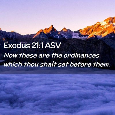 Picture 02 - Exodus 21:1 ASV - Now these are the ordinances which thou shalt set - Bible Verse Picture