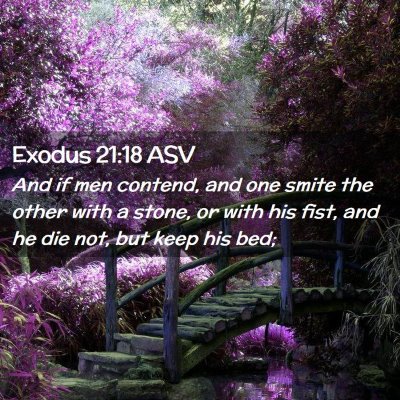 Picture 02 - Exodus 21:18 ASV - And if men contend, and one smite the other with - Bible Verse Picture