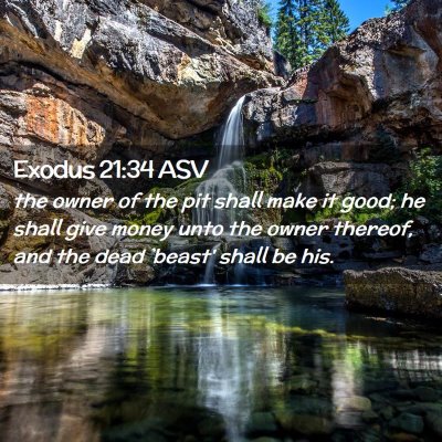 Picture 02 - Exodus 21:34 ASV - the owner of the pit shall make it good; he shall - Bible Verse Picture