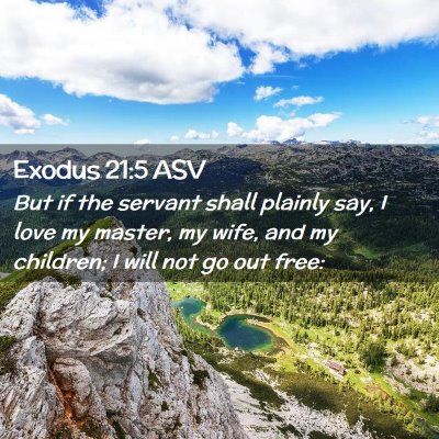 Picture 02 - Exodus 21:5 ASV - But if the servant shall plainly say, I love my - Bible Verse Picture