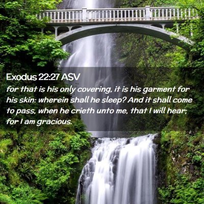 Picture 02 - Exodus 22:27 ASV - for that is his only covering, it is his garment - Bible Verse Picture