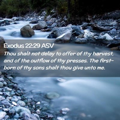 Picture 02 - Exodus 22:29 ASV - Thou shalt not delay to offer of thy harvest, and - Bible Verse Picture