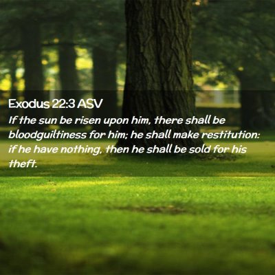 Picture 02 - Exodus 22:3 ASV - If the sun be risen upon him, there shall be - Bible Verse Picture