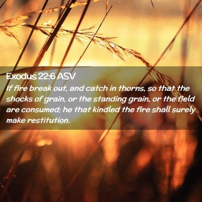 Picture 02 - Exodus 22:6 ASV - If fire break out, and catch in thorns, so that - Bible Verse Picture