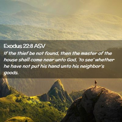 Picture 02 - Exodus 22:8 ASV - If the thief be not found, then the master of the - Bible Verse Picture
