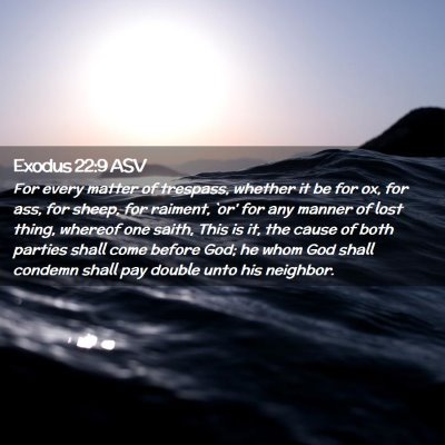 Picture 02 - Exodus 22:9 ASV - For every matter of trespass, whether it be for - Bible Verse Picture