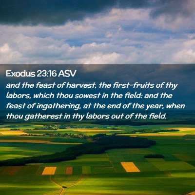 Picture 02 - Exodus 23:16 ASV - and the feast of harvest, the first-fruits of thy - Bible Verse Picture