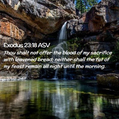 Picture 02 - Exodus 23:18 ASV - Thou shalt not offer the blood of my sacrifice - Bible Verse Picture