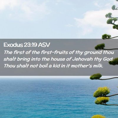 Picture 02 - Exodus 23:19 ASV - The first of the first-fruits of thy ground thou - Bible Verse Picture