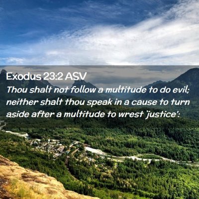Picture 02 - Exodus 23:2 ASV - Thou shalt not follow a multitude to do evil; - Bible Verse Picture