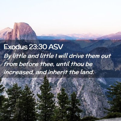 Picture 02 - Exodus 23:30 ASV - By little and little I will drive them out from - Bible Verse Picture