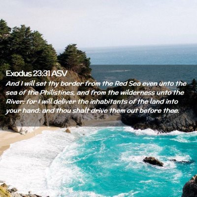 Picture 02 - Exodus 23:31 ASV - And I will set thy border from the Red Sea even - Bible Verse Picture