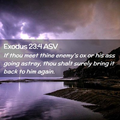 Picture 02 - Exodus 23:4 ASV - If thou meet thine enemy's ox or his ass going - Bible Verse Picture