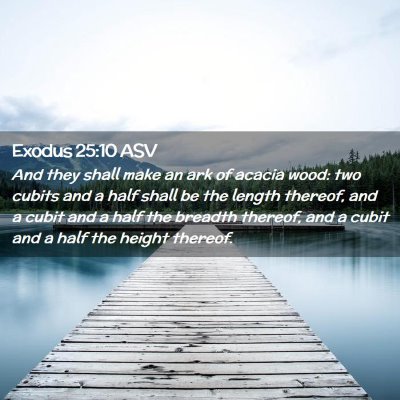Picture 02 - Exodus 25:10 ASV - And they shall make an ark of acacia wood: two - Bible Verse Picture