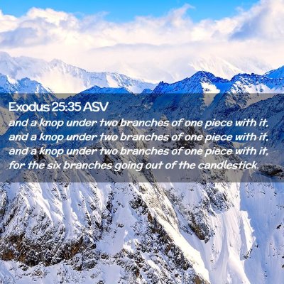 Picture 02 - Exodus 25:35 ASV - and a knop under two branches of one piece with - Bible Verse Picture