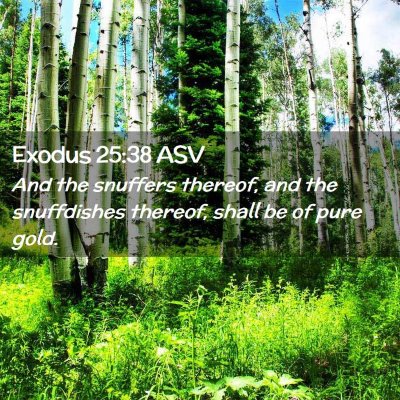 Picture 02 - Exodus 25:38 ASV - And the snuffers thereof, and the snuffdishes - Bible Verse Picture