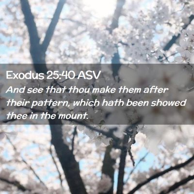 Picture 02 - Exodus 25:40 ASV - And see that thou make them after their pattern, - Bible Verse Picture