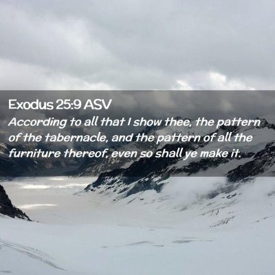 Picture 02 - Exodus 25:9 ASV - According to all that I show thee, the pattern of - Bible Verse Picture