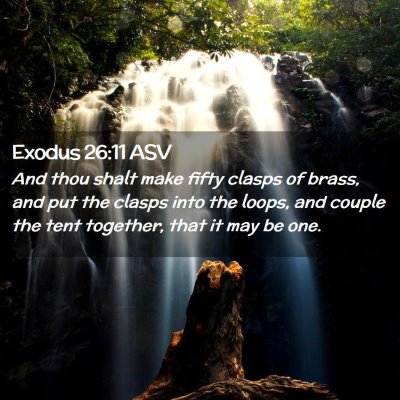 Picture 02 - Exodus 26:11 ASV - And thou shalt make fifty clasps of brass, and - Bible Verse Picture