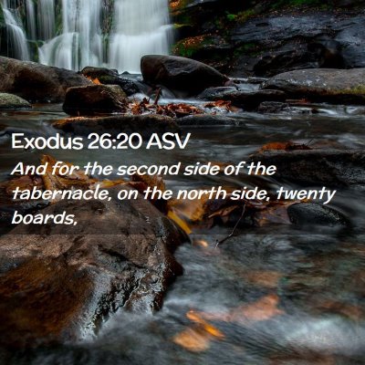 Picture 02 - Exodus 26:20 ASV - And for the second side of the tabernacle, on the - Bible Verse Picture