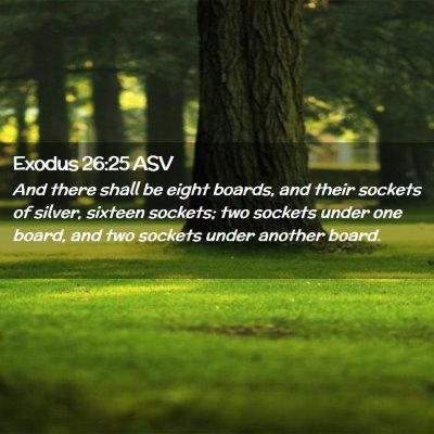 Picture 02 - Exodus 26:25 ASV - And there shall be eight boards, and their - Bible Verse Picture