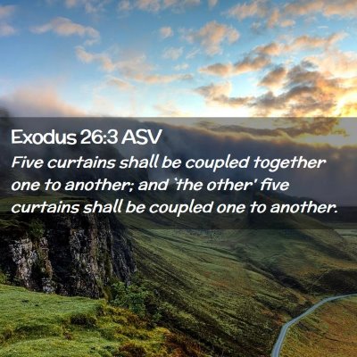 Picture 02 - Exodus 26:3 ASV - Five curtains shall be coupled together one to - Bible Verse Picture