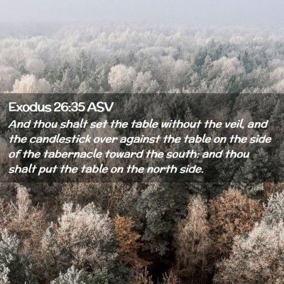 Picture 02 - Exodus 26:35 ASV - And thou shalt set the table without the veil, - Bible Verse Picture