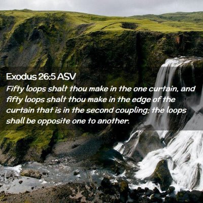 Picture 02 - Exodus 26:5 ASV - Fifty loops shalt thou make in the one curtain, - Bible Verse Picture