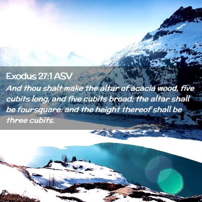 Picture 02 - Exodus 27:1 ASV - And thou shalt make the altar of acacia wood, - Bible Verse Picture