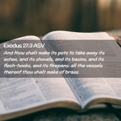 Picture 02 - Exodus 27:3 ASV - And thou shalt make its pots to take away its - Bible Verse Picture