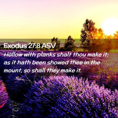Picture 02 - Exodus 27:8 ASV - Hollow with planks shalt thou make it: as it hath - Bible Verse Picture