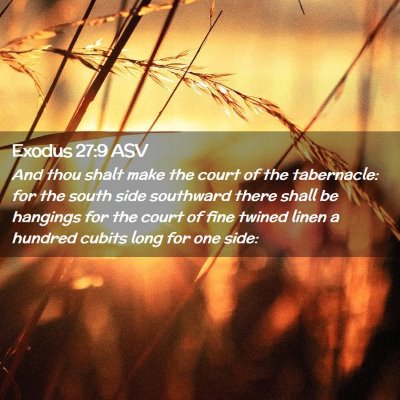 Picture 02 - Exodus 27:9 ASV - And thou shalt make the court of the tabernacle: - Bible Verse Picture