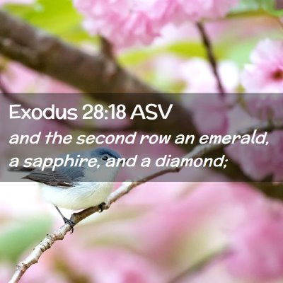 Picture 02 - Exodus 28:18 ASV - and the second row an emerald, a sapphire, and a - Bible Verse Picture