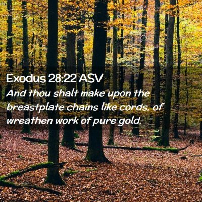 Picture 02 - Exodus 28:22 ASV - And thou shalt make upon the breastplate chains - Bible Verse Picture