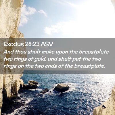 Picture 02 - Exodus 28:23 ASV - And thou shalt make upon the breastplate two - Bible Verse Picture