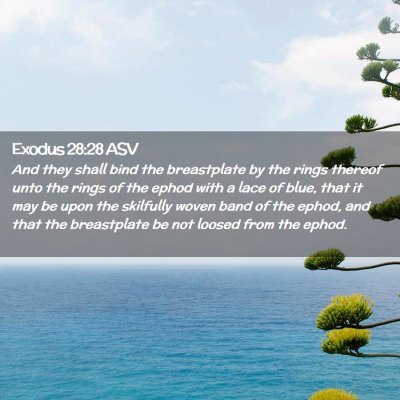 Picture 02 - Exodus 28:28 ASV - And they shall bind the breastplate by the rings - Bible Verse Picture