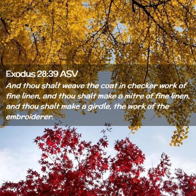 Picture 02 - Exodus 28:39 ASV - And thou shalt weave the coat in checker work of - Bible Verse Picture