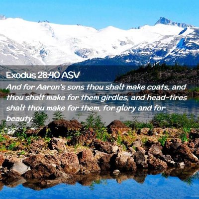 Picture 02 - Exodus 28:40 ASV - And for Aaron's sons thou shalt make coats, and - Bible Verse Picture