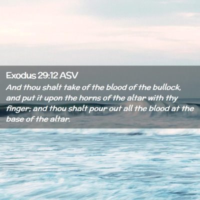 Picture 02 - Exodus 29:12 ASV - And thou shalt take of the blood of the bullock, - Bible Verse Picture