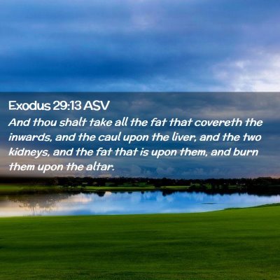 Picture 02 - Exodus 29:13 ASV - And thou shalt take all the fat that covereth the - Bible Verse Picture