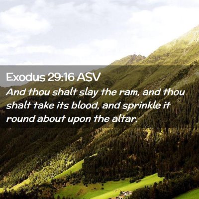 Picture 02 - Exodus 29:16 ASV - And thou shalt slay the ram, and thou shalt take - Bible Verse Picture
