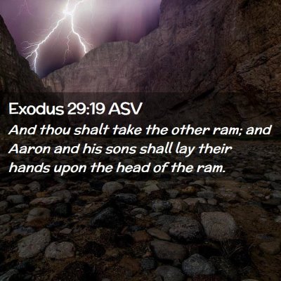 Picture 02 - Exodus 29:19 ASV - And thou shalt take the other ram; and Aaron and - Bible Verse Picture