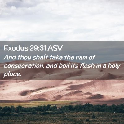 Picture 02 - Exodus 29:31 ASV - And thou shalt take the ram of consecration, and - Bible Verse Picture